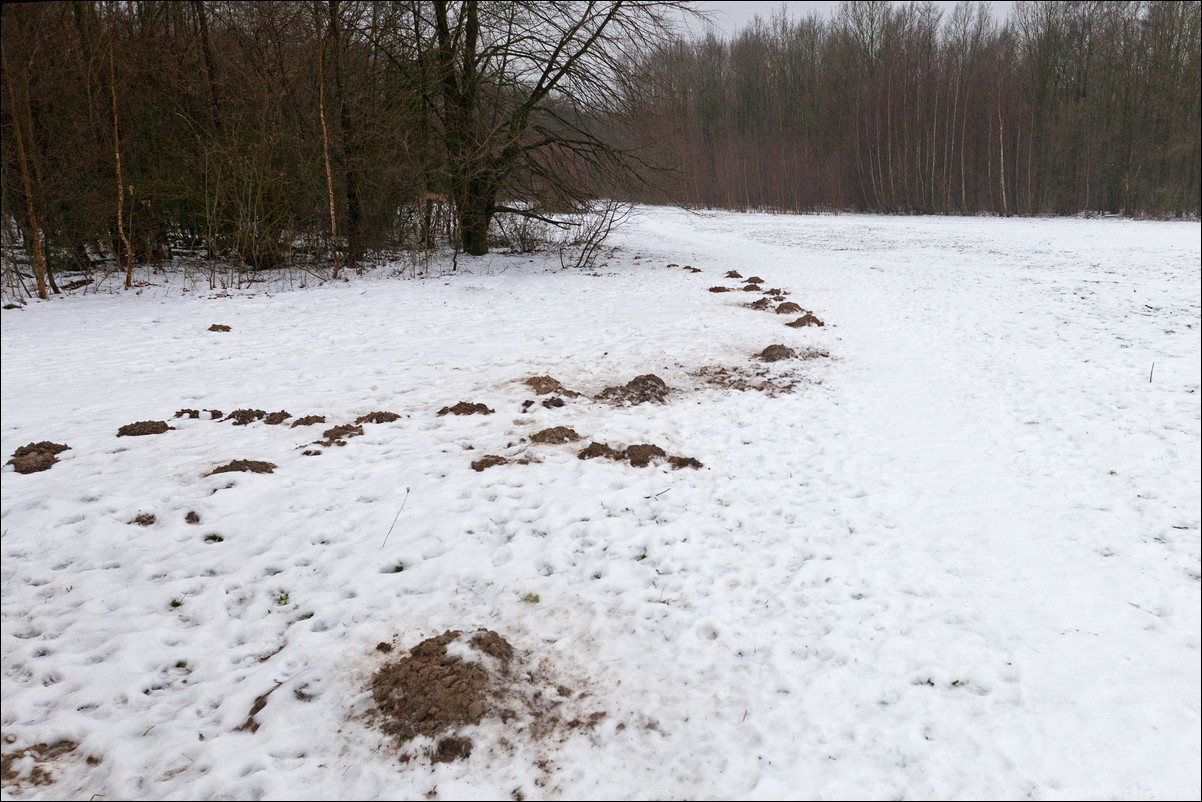 Wandeling Zeewolde Stille Kern