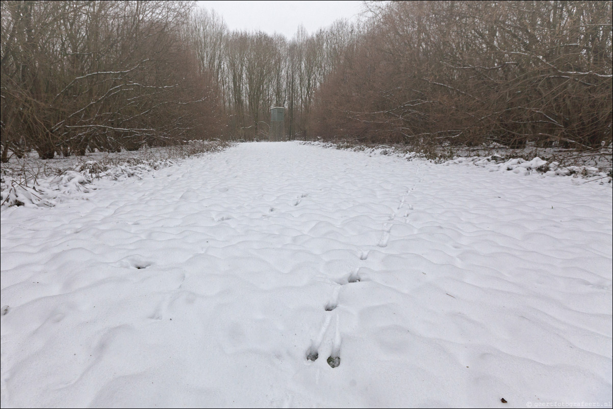 Wandeling Zeewolde Stille Kern