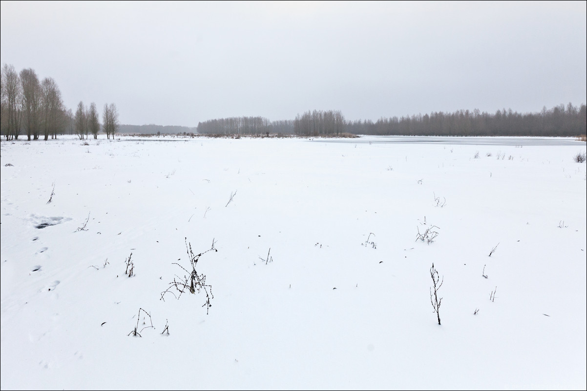 Wandeling Zeewolde Stille Kern