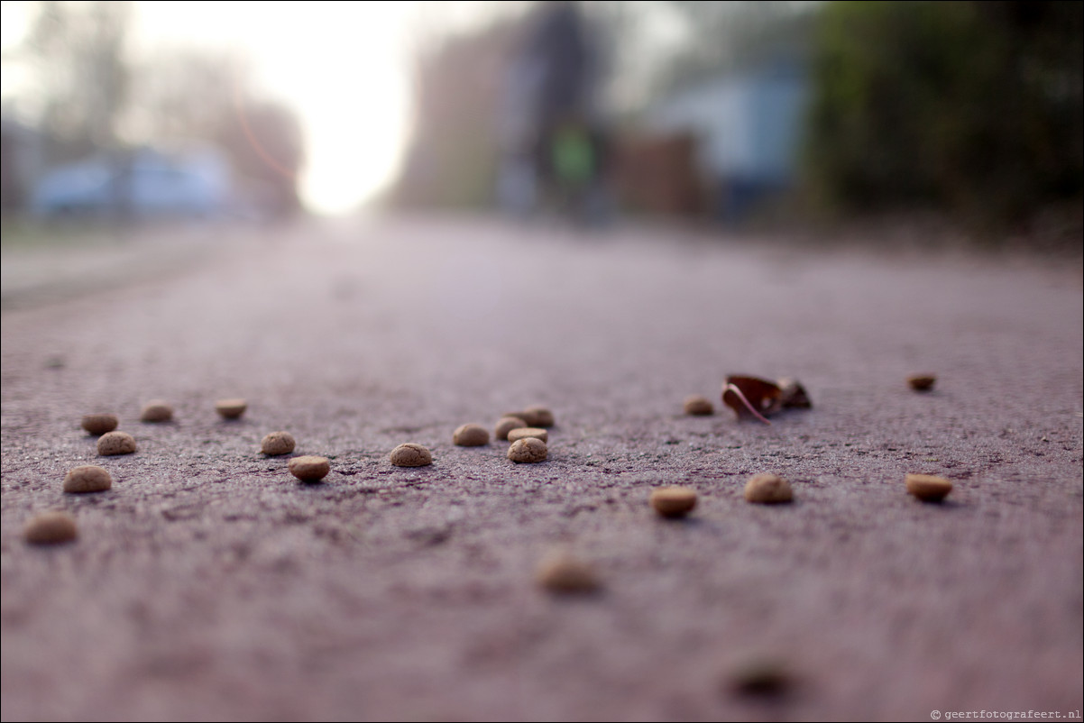 Bokeh met Canon EF 35mm f/1.4L