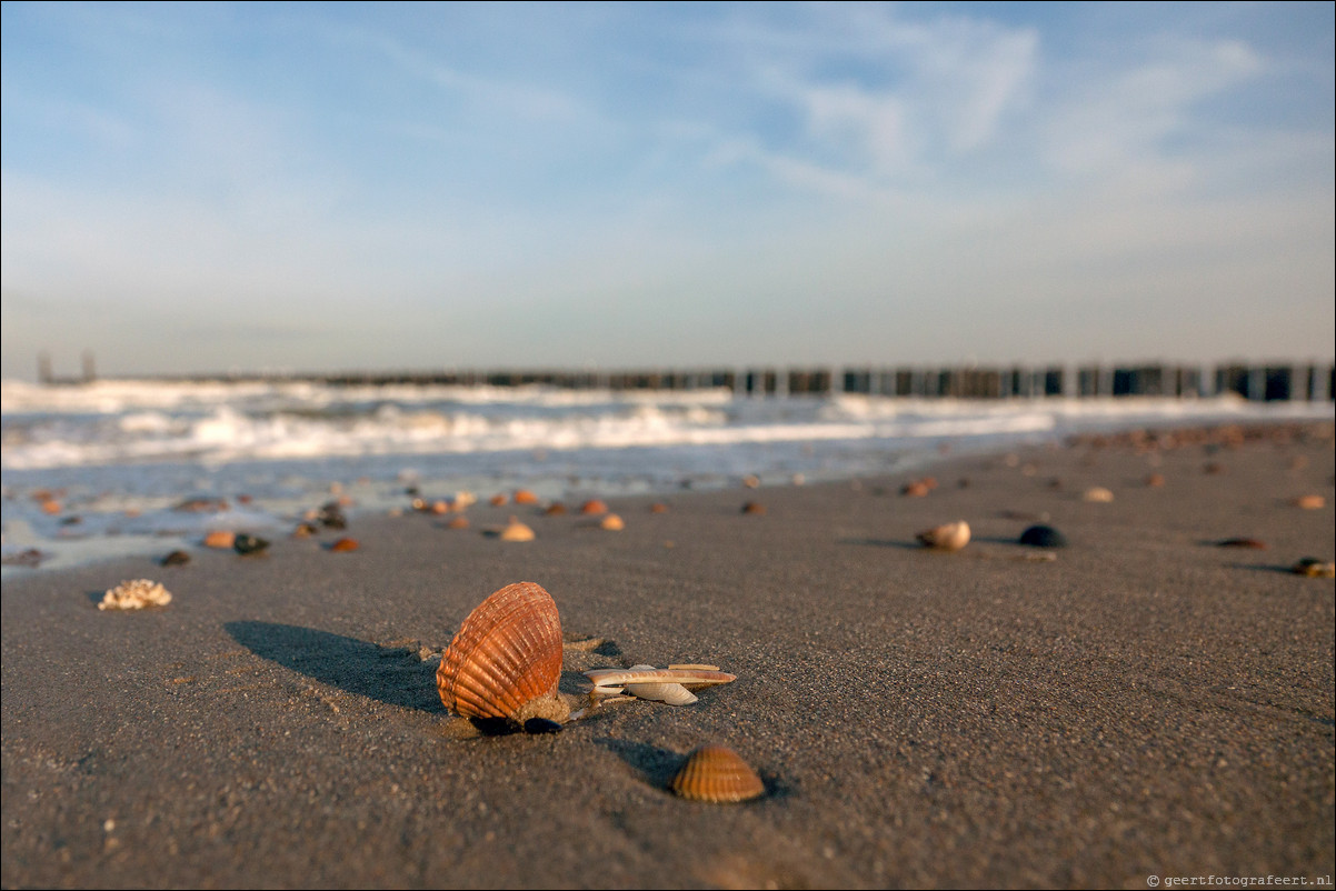 Domburg