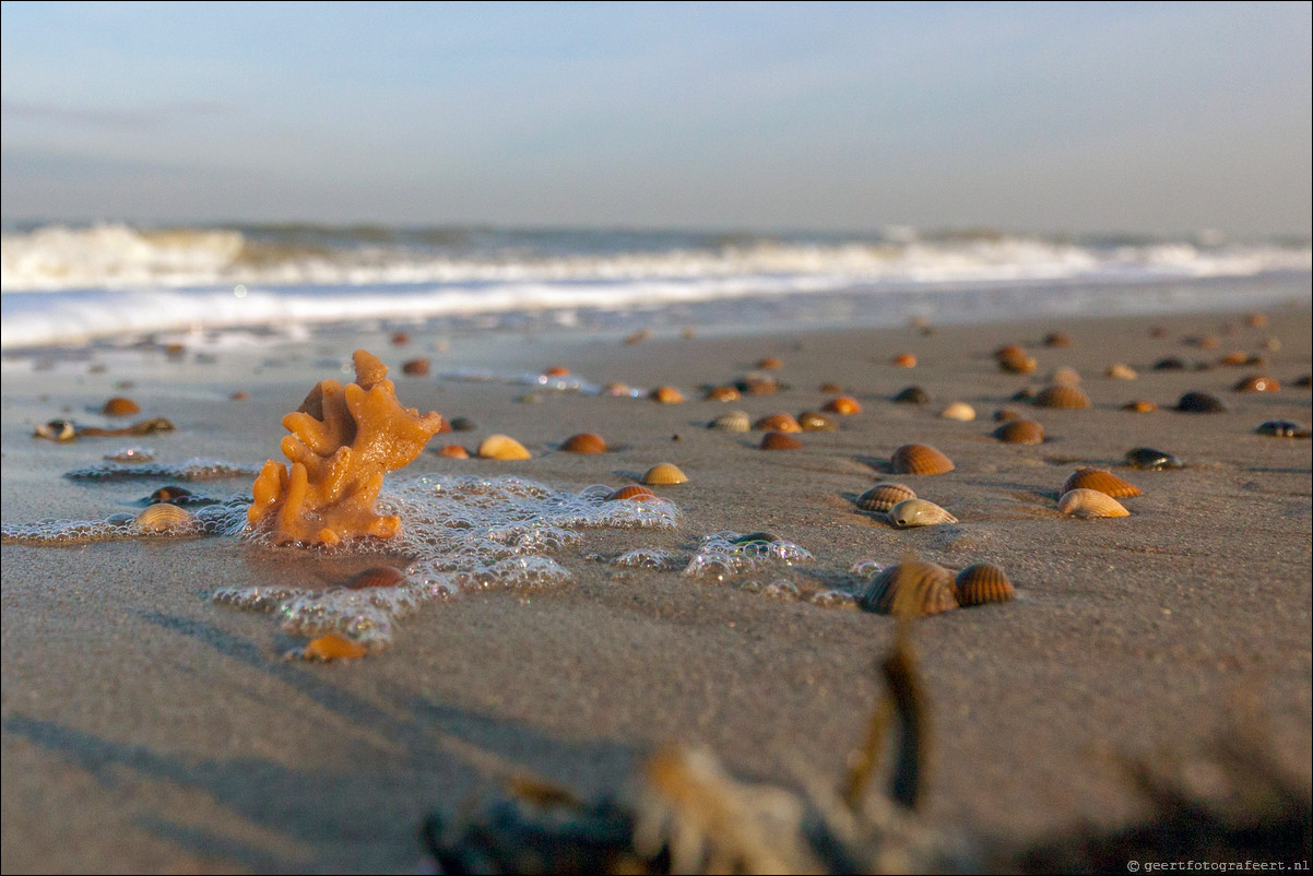 Domburg