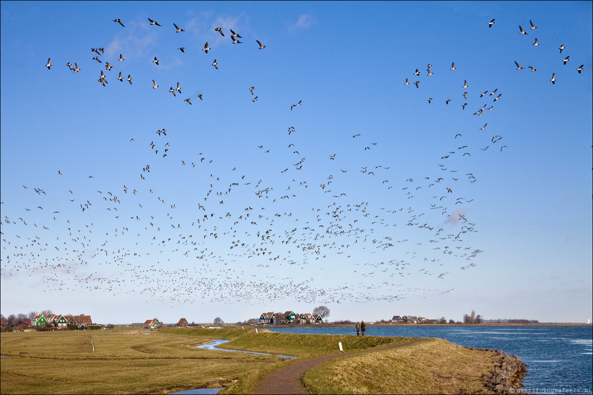 Marken