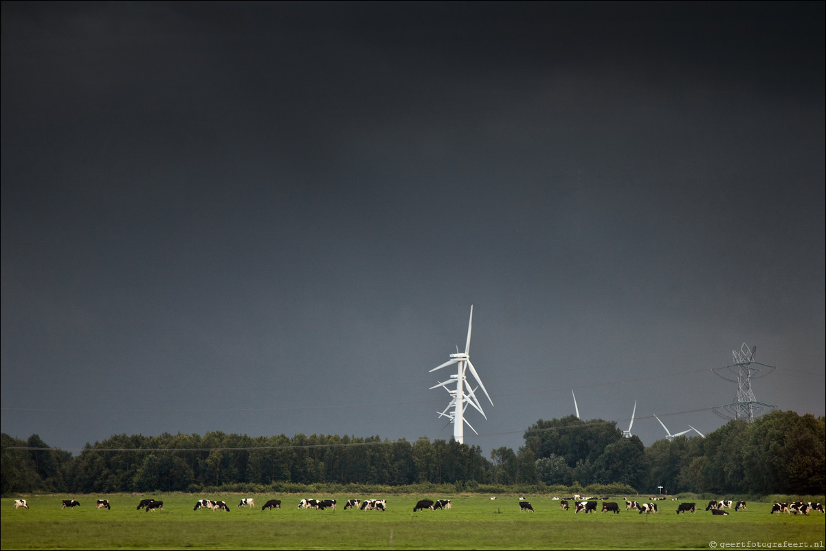 Flevoland