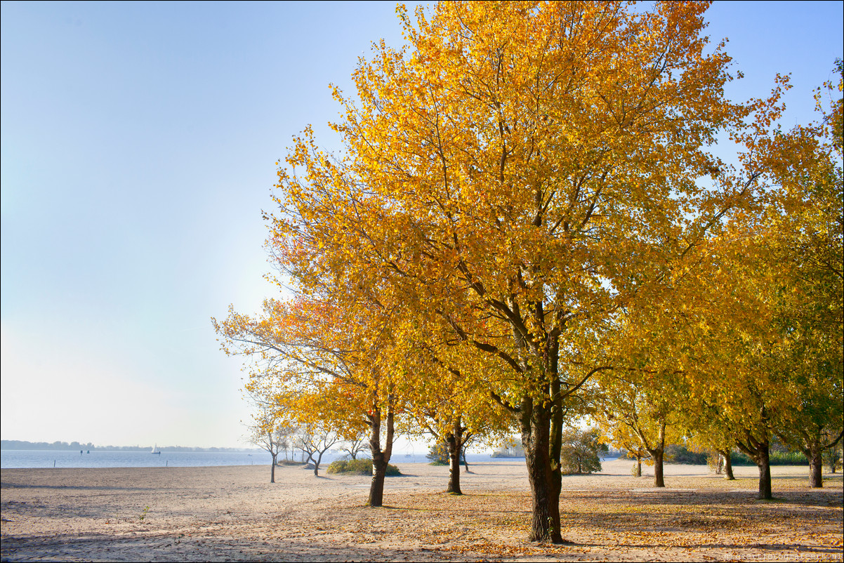 Herfst