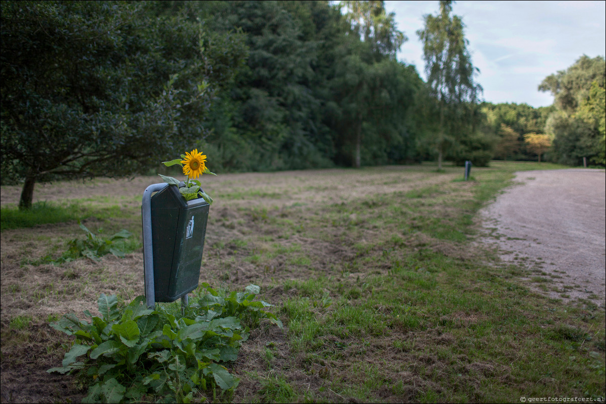 Almere straatfotografie