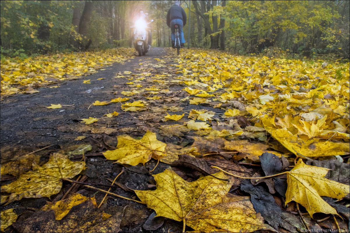 Herfst