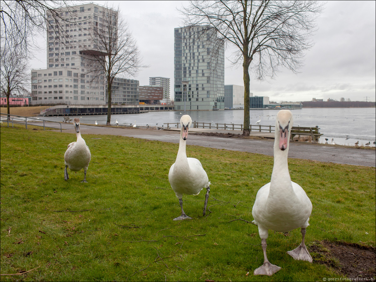 Skyline Weerwater Almere