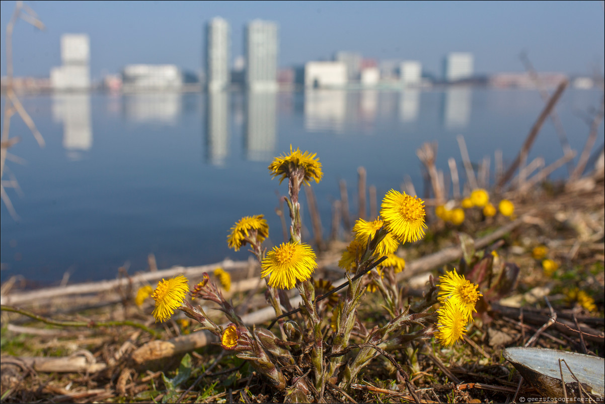 Skyline Weerwater Almere