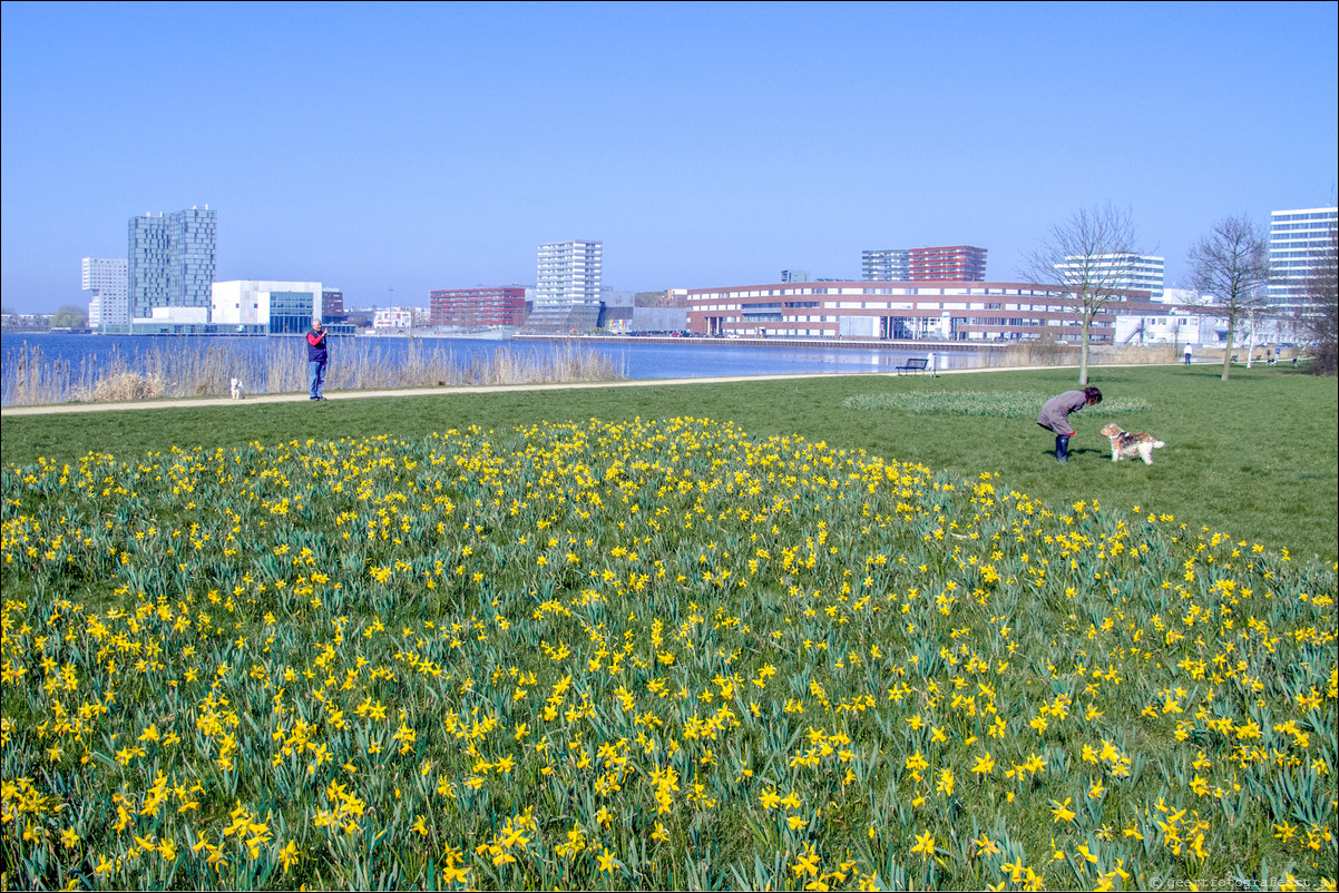 Skyline Weerwater Almere