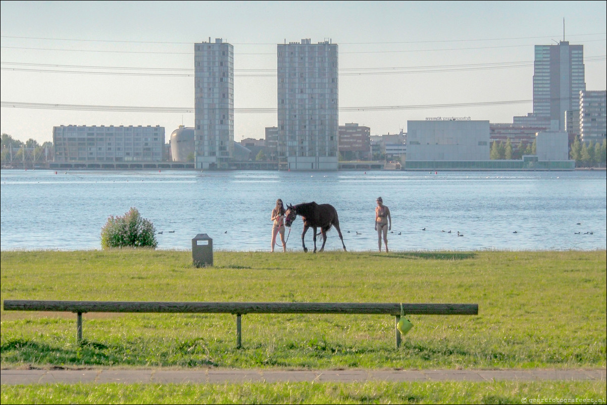 Skyline Weerwater Almere