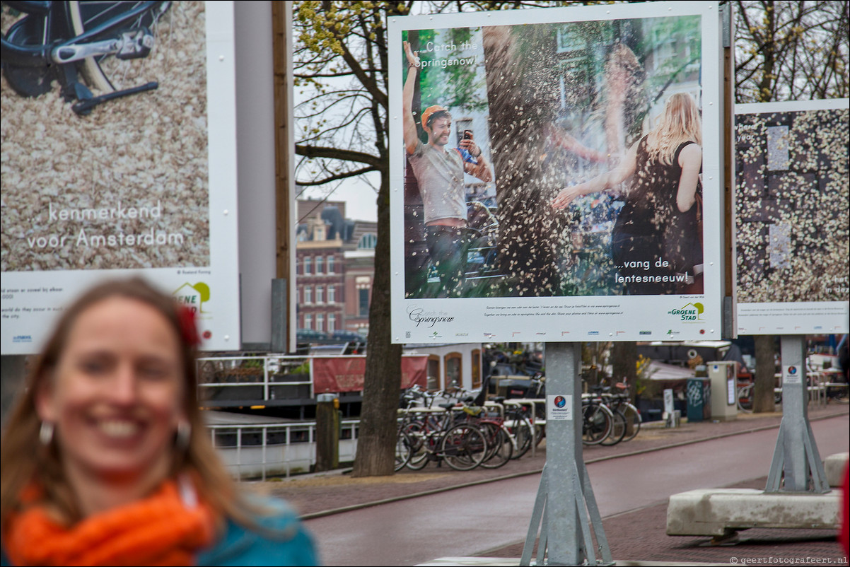 Springsnow iepenzaadjes Amsterdam 