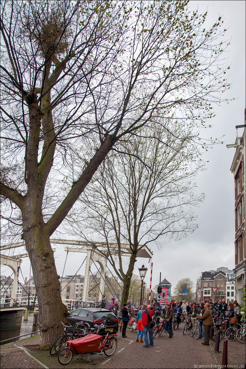 Springsnow iepenzaadjes Amsterdam 