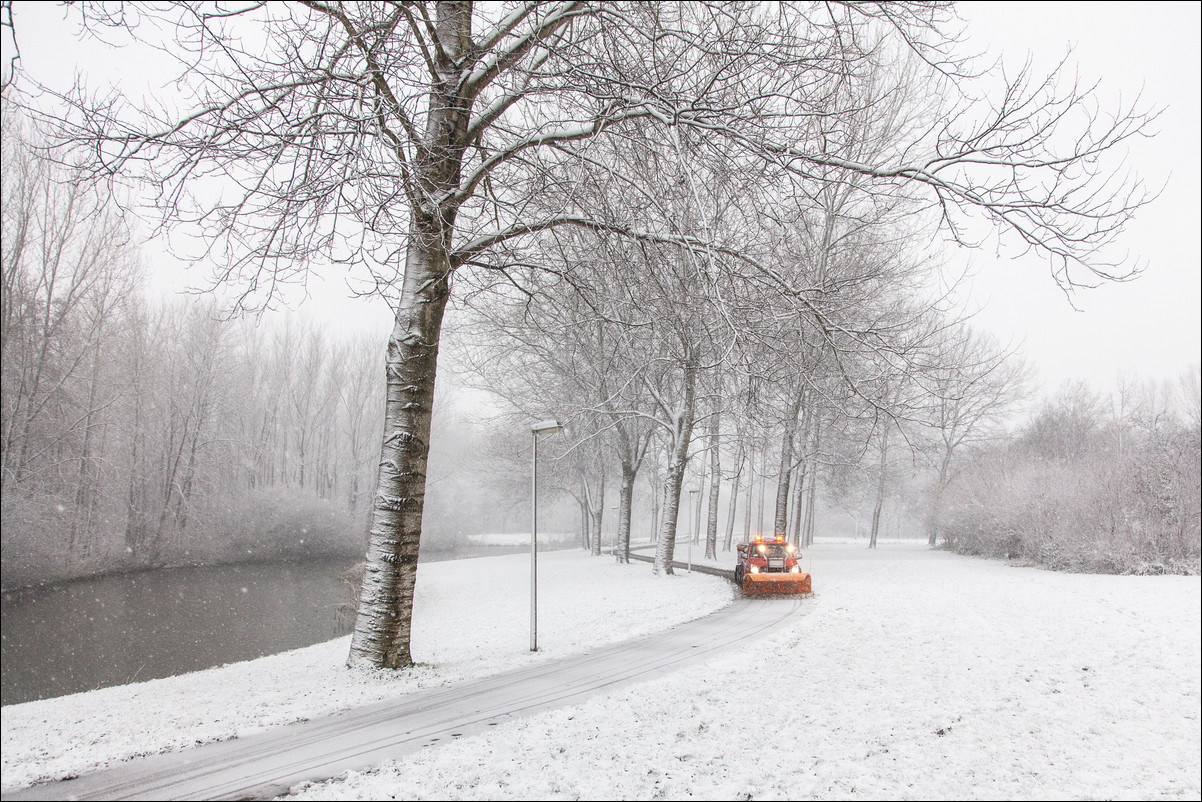 Vroege Vogelbos Almere Haven