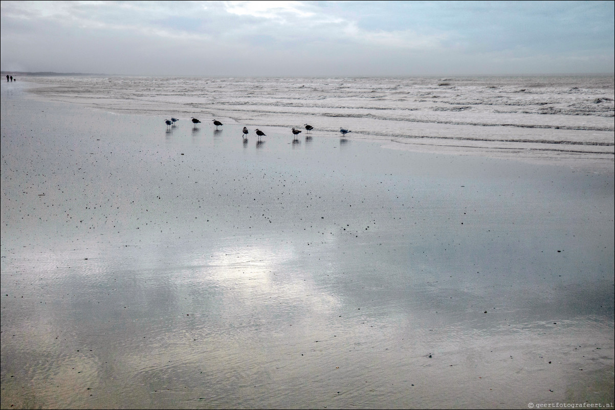 Ameland