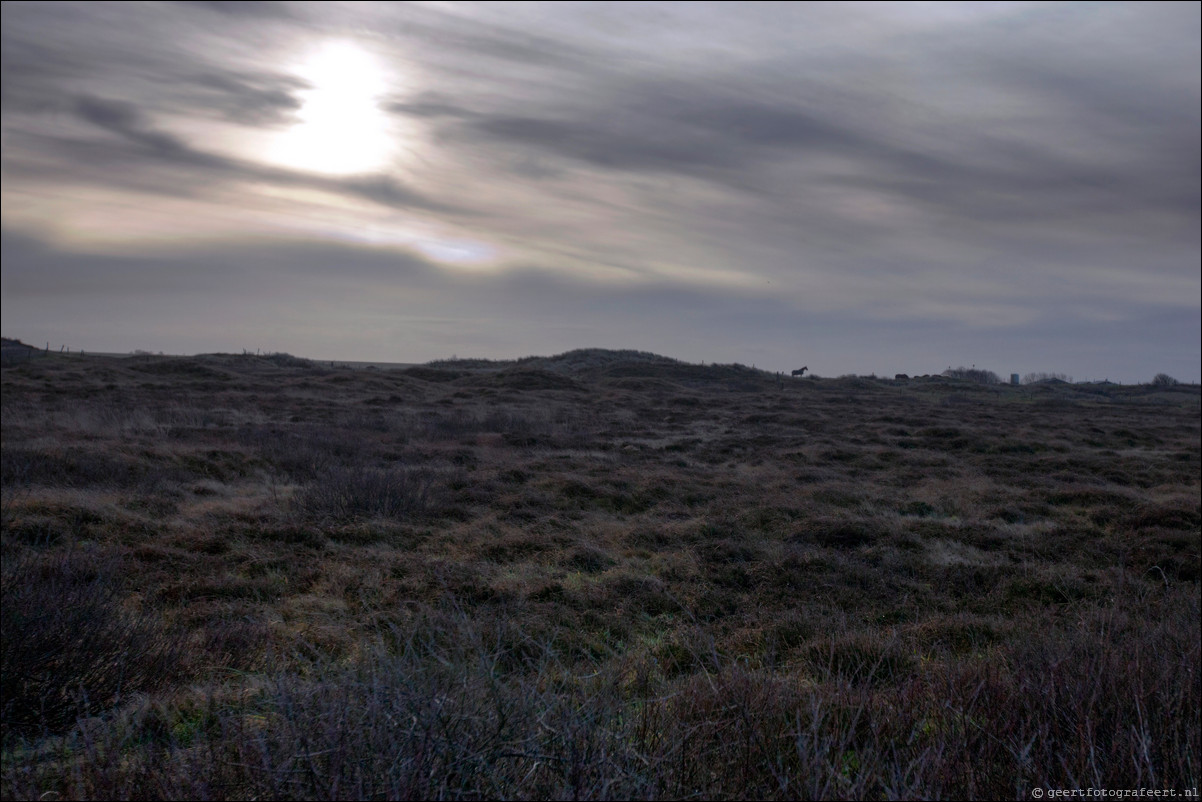 Ameland