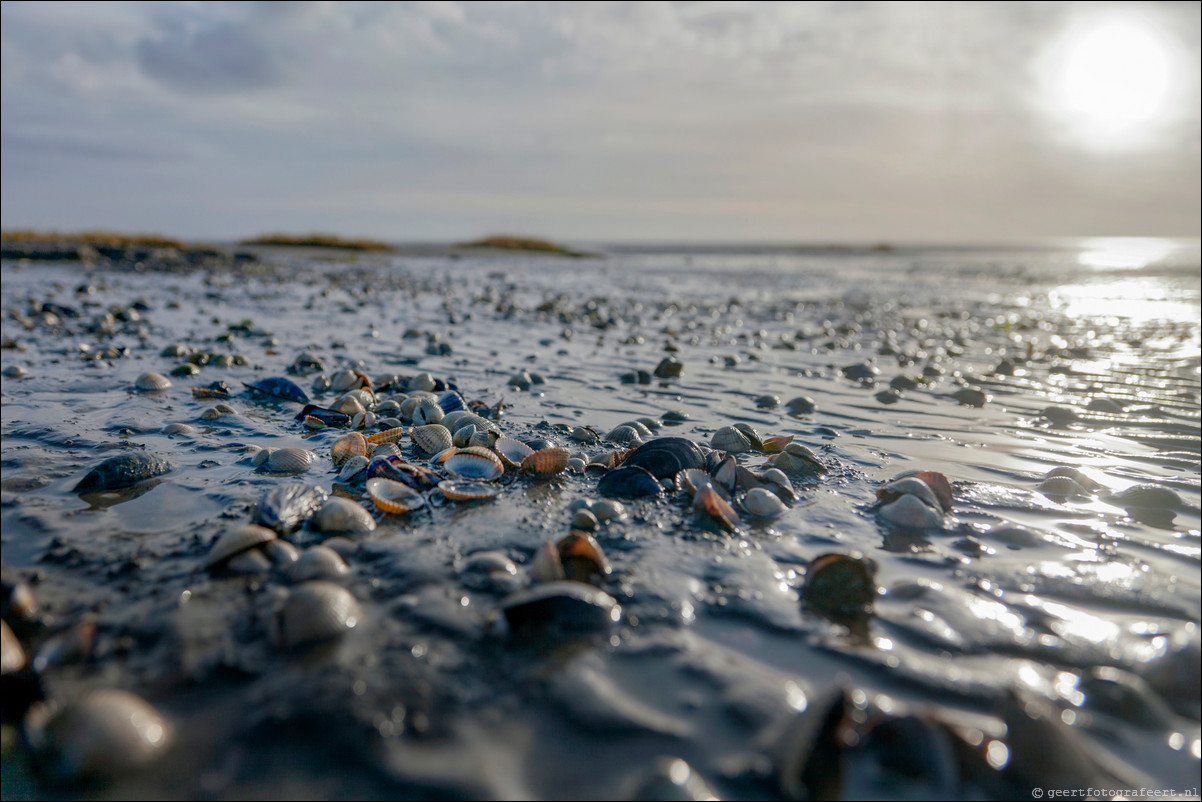 Ameland