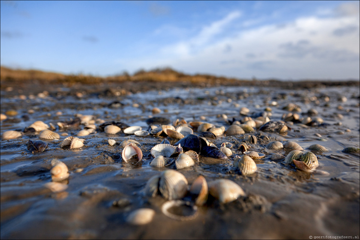 Ameland