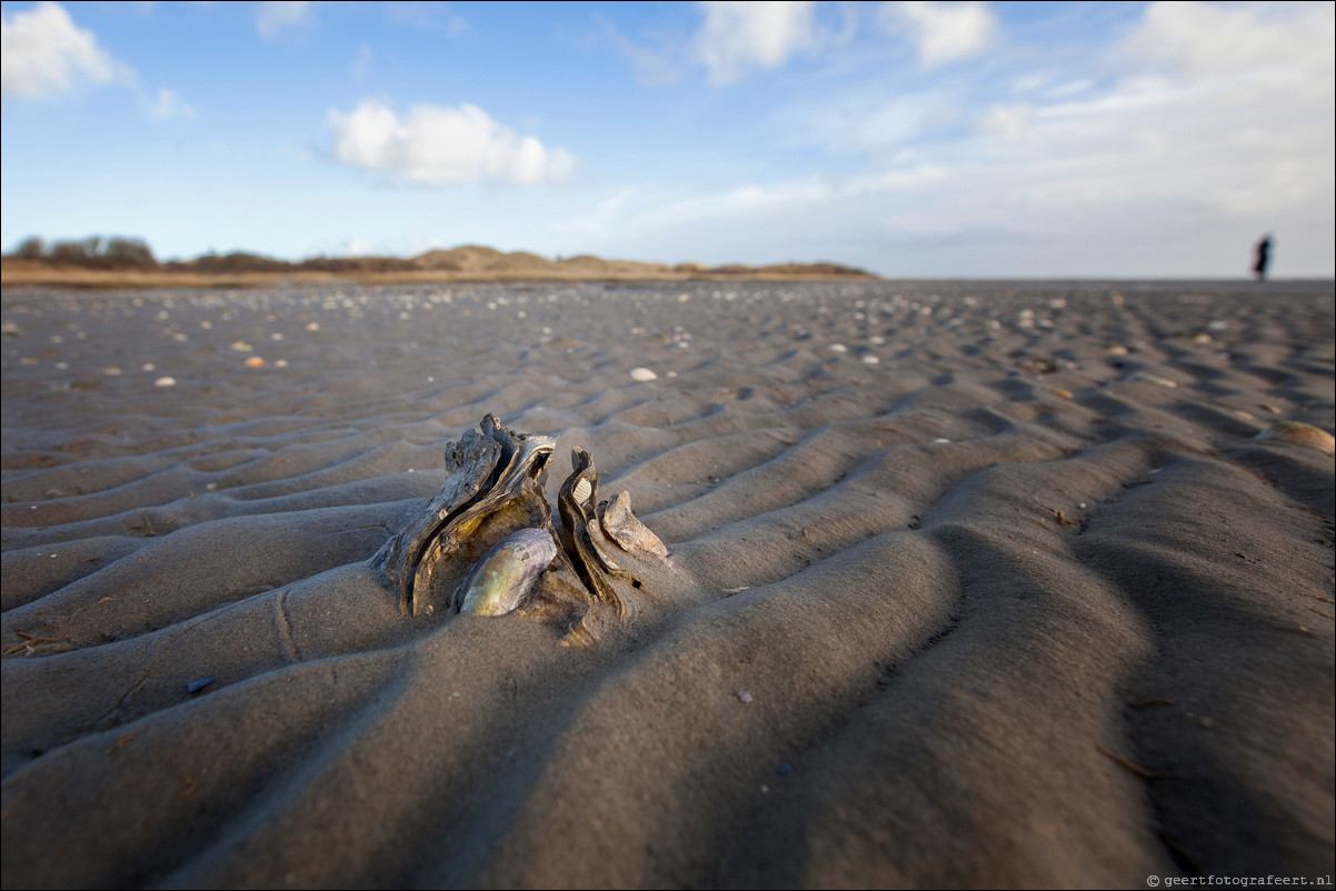 Ameland