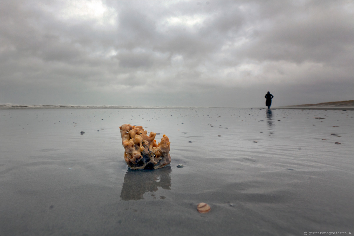 Ameland