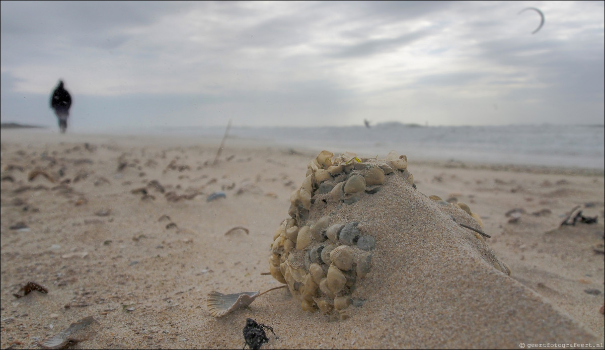 Ameland