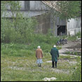 wandelingen betuwe en omgeving