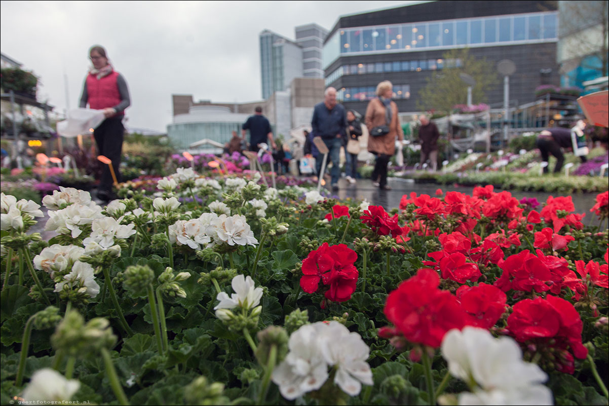 Luilakviering in Almere