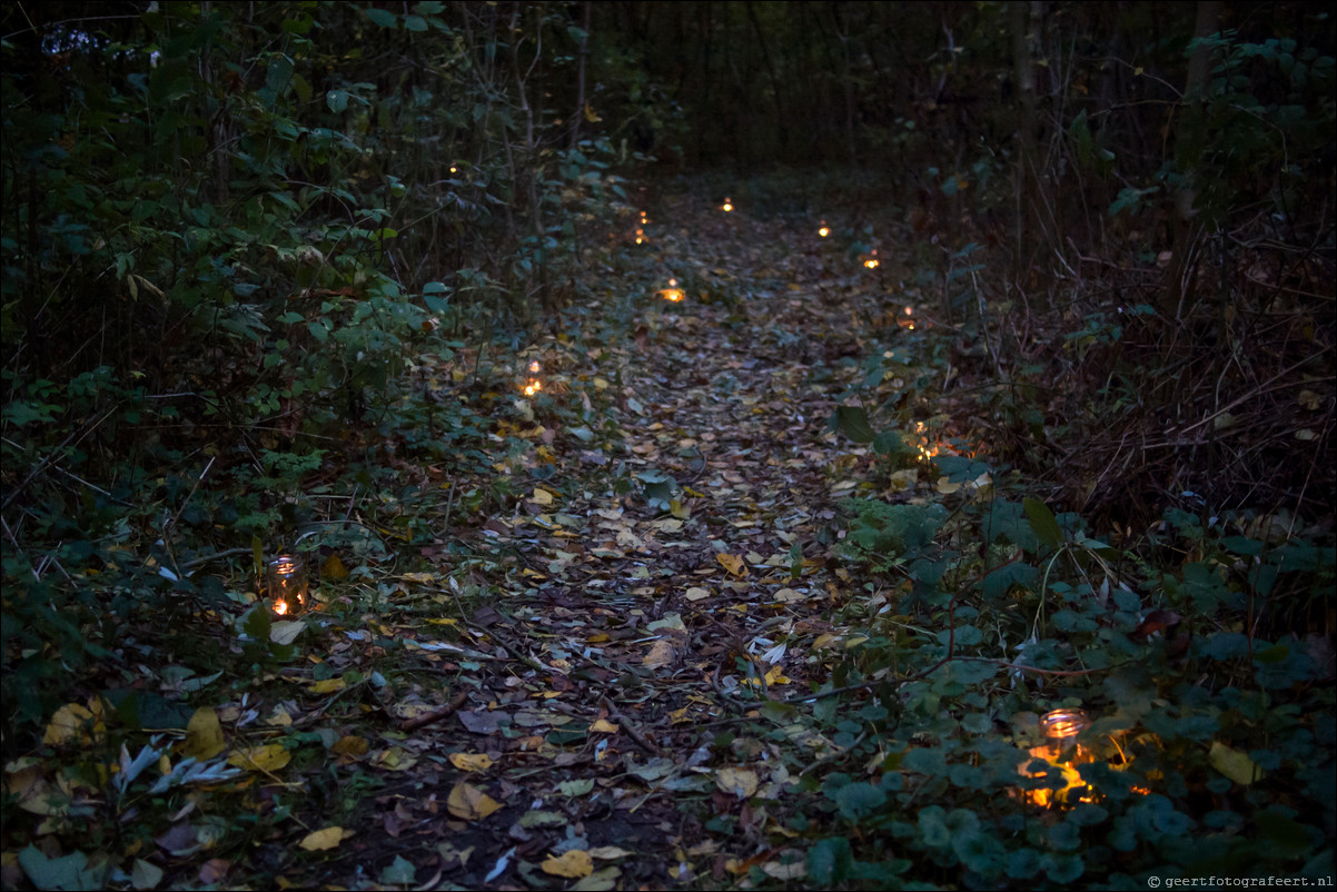 Lichtjesfeest in de Wierden Almere Haven