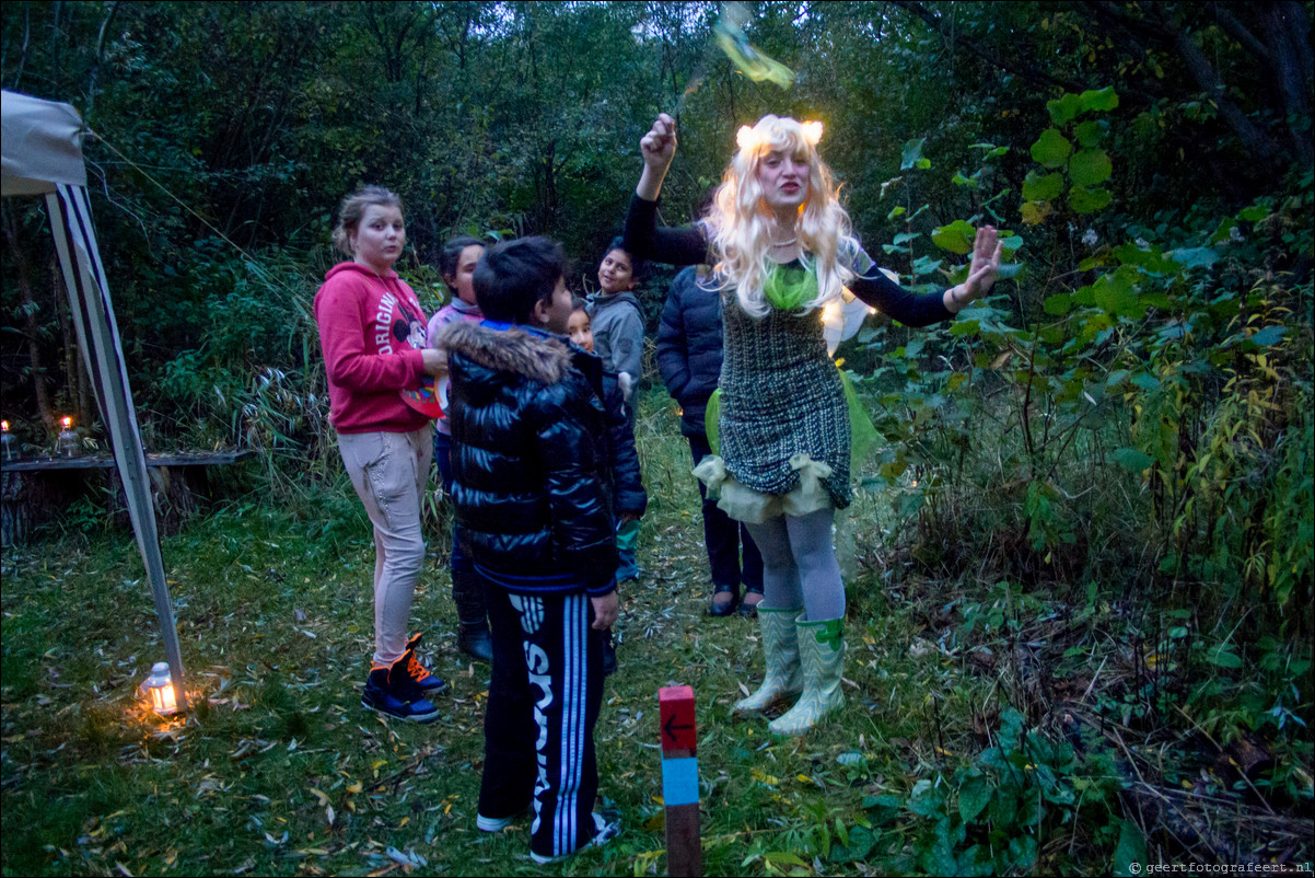 Lichtjesfeest in de Wierden Almere Haven