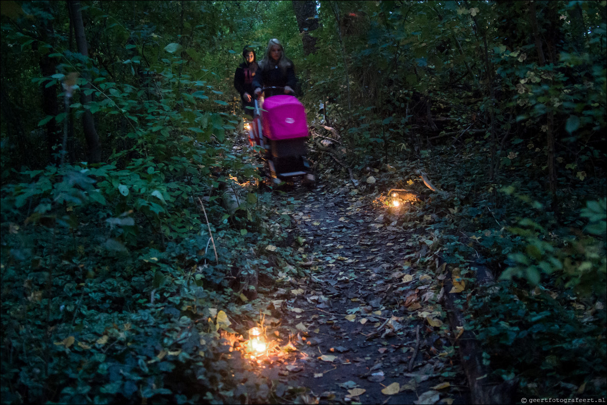 Lichtjesfeest in de Wierden Almere Haven