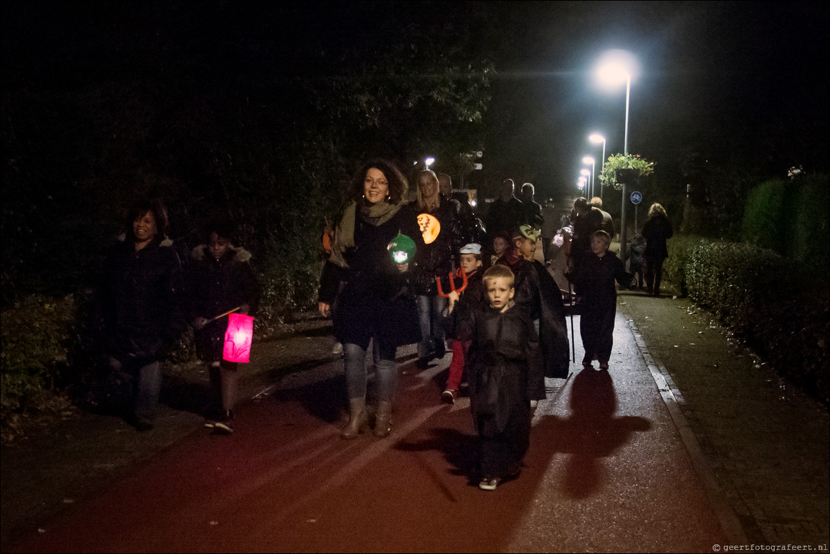 Lichtjesfeest in de Wierden Almere Haven