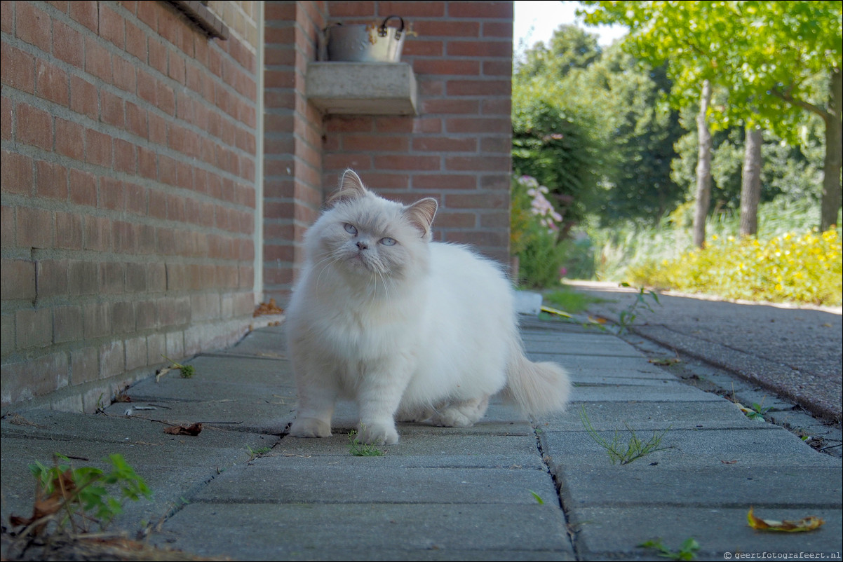 Almere straatfoografie