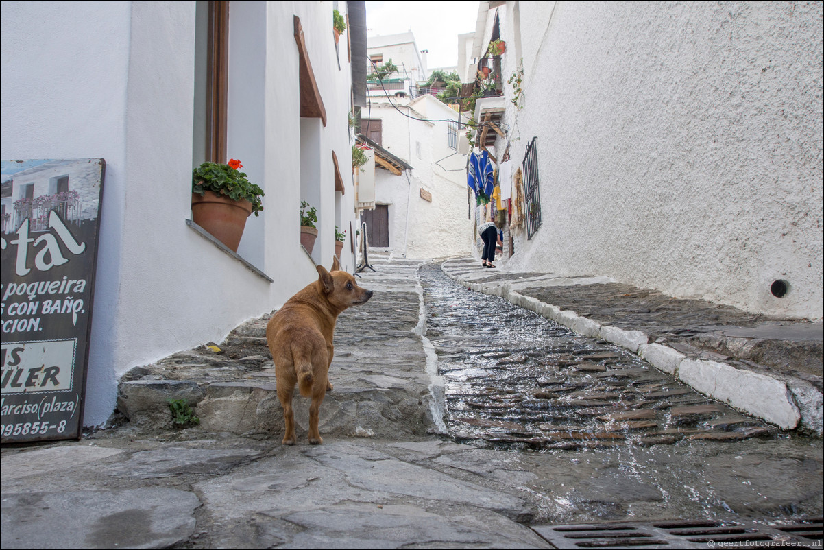 Andalusië, Spanje: Sierre Nevada