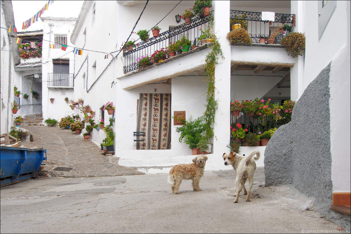 Andalusië, Spanje: Sierre Nevada