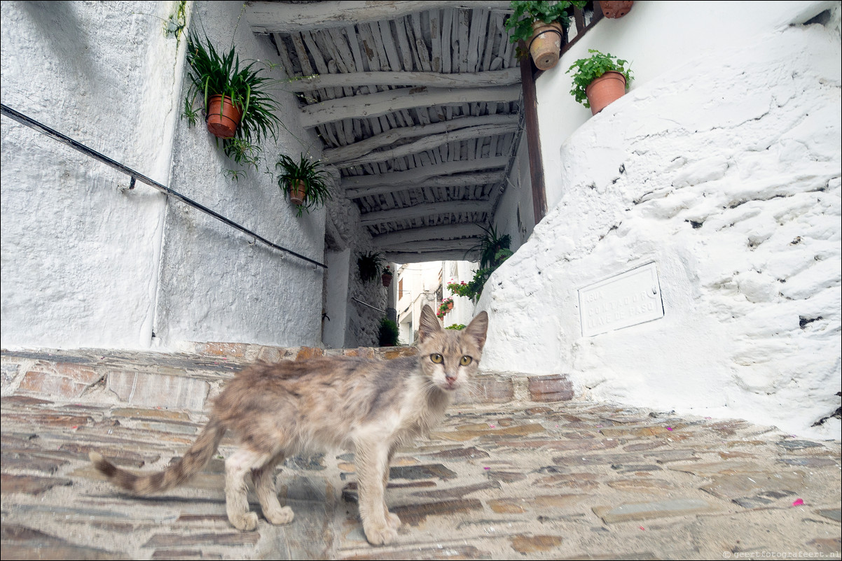 Andalusië, Spanje: Sierre Nevada