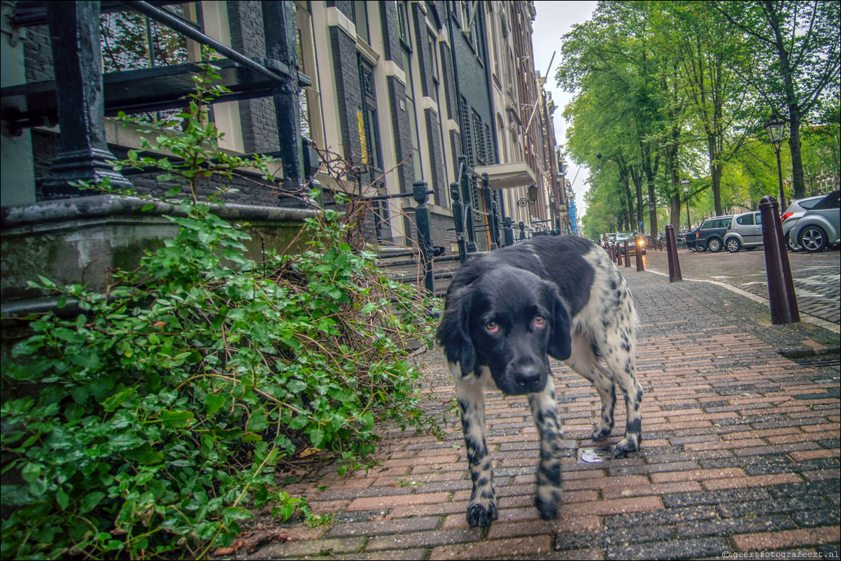 Grachtenwandeling Amsterdam