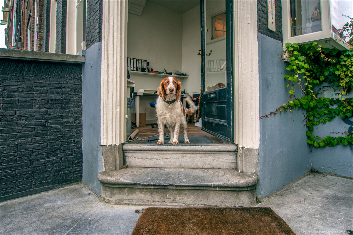 Grachtenwandeling Amsterdam