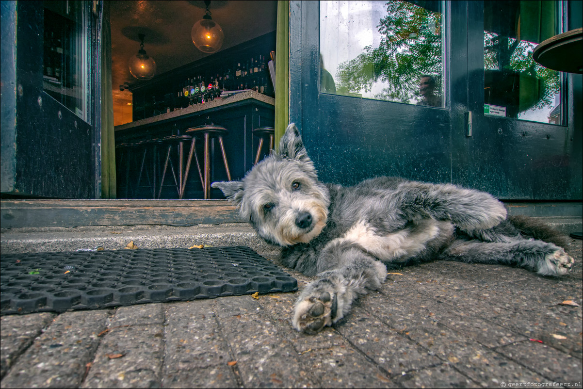 Grachtenwandeling Amsterdam