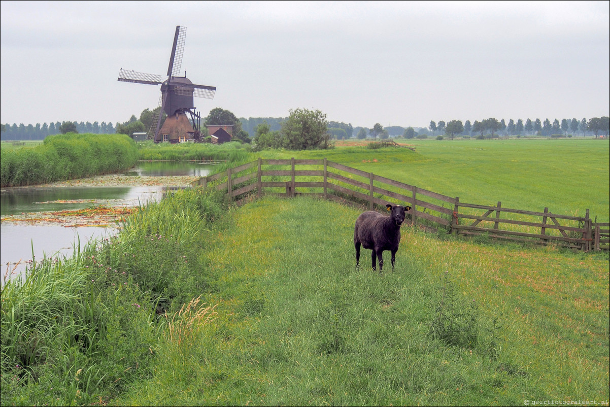 Pelgrimspad: Nieuwpoort-Hardinxveld