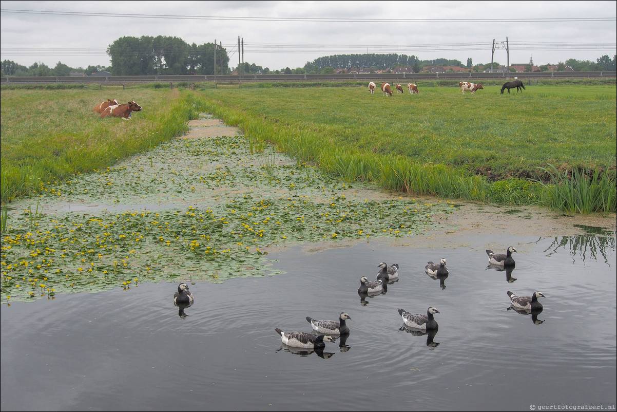 Pelgrimspad: Nieuwpoort-Hardinxveld