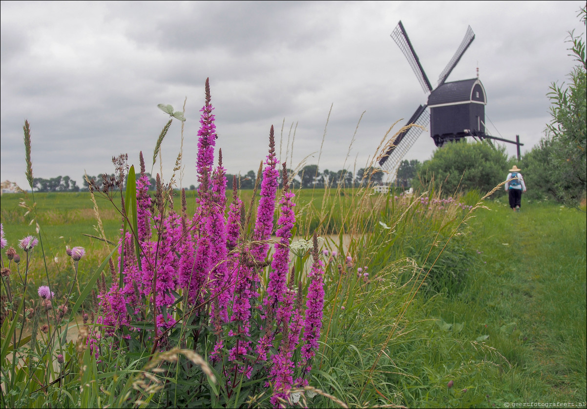 Pelgrimspad: Nieuwpoort-Hardinxveld