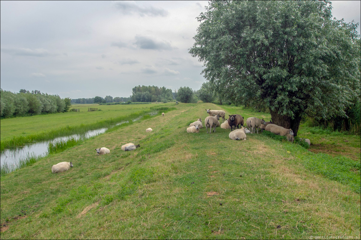 Pelgrimspad: Hardinxveld - Giessendam - Gorinchem - Heusden