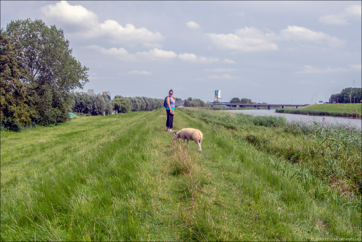 Pelgrimspad: Hardinxveld - Giessendam - Gorinchem - Heusden