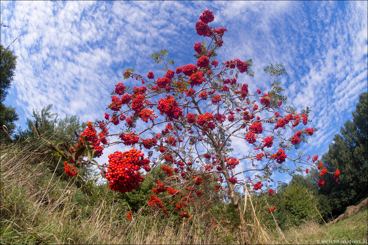 Herfst