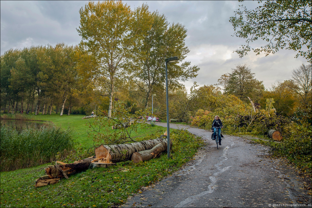 Herfst