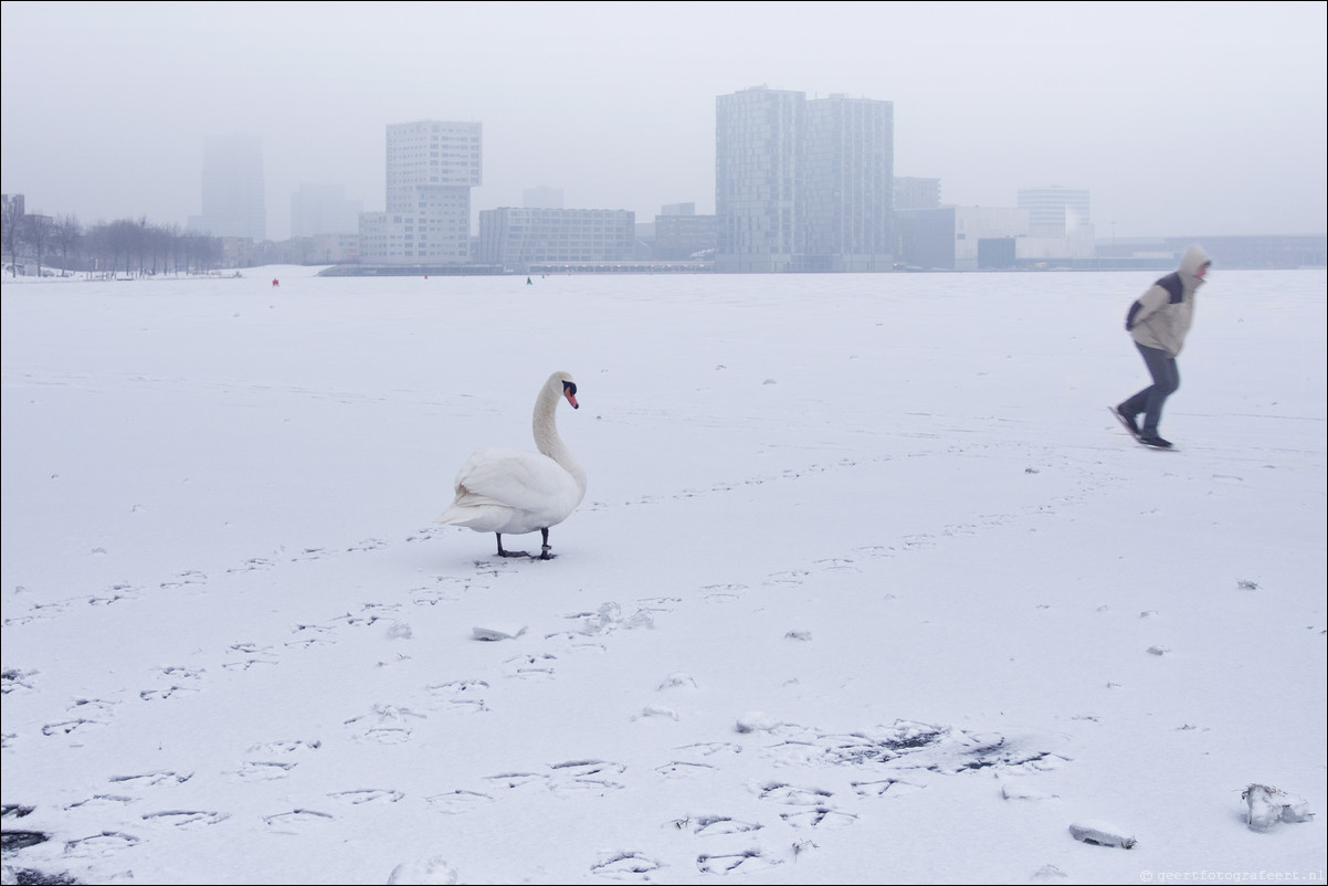 Skyline Almere