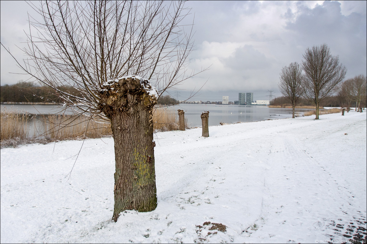 Skyline Almere