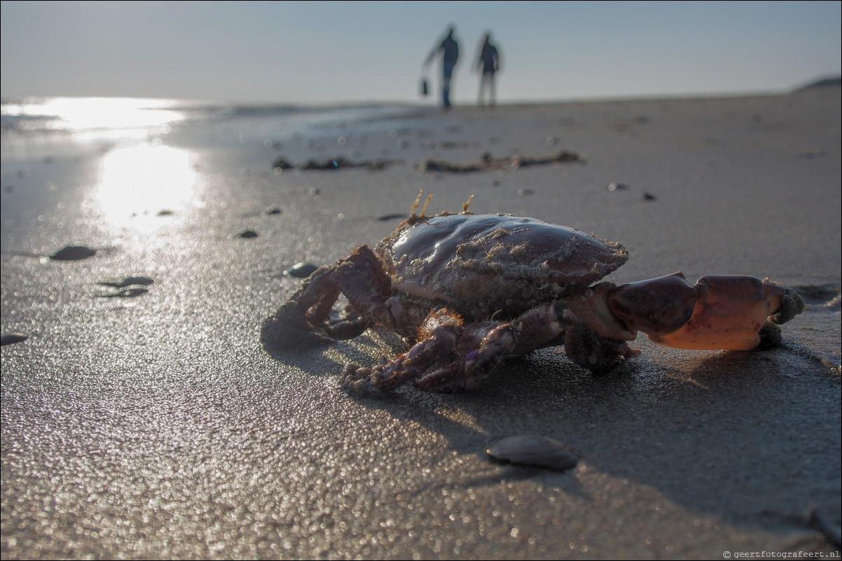 Zeeland, Burgh Haamstede