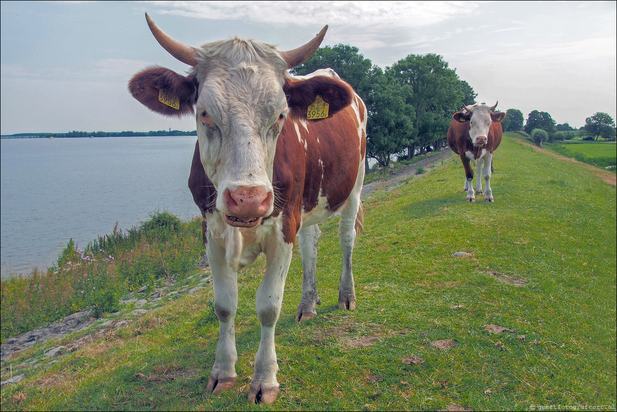 Wandeling Almere Poort naar Amsterdam Muiderpoort