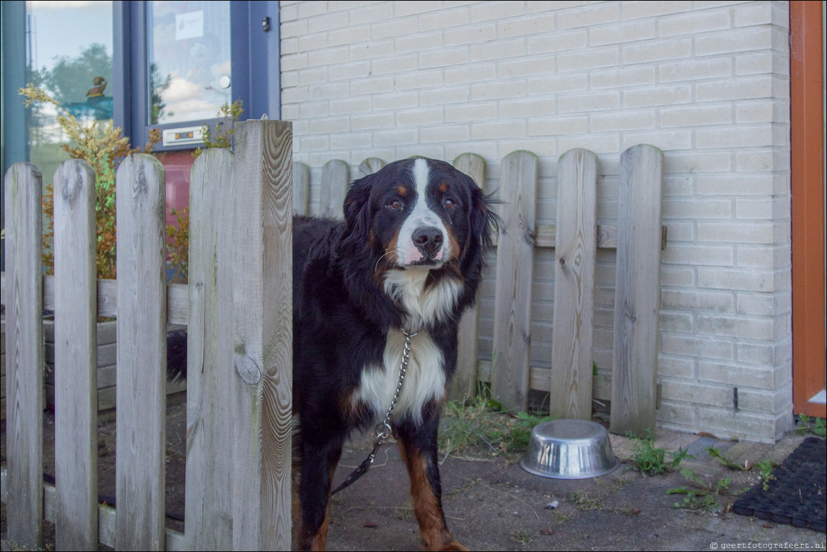 Wandeling Lelystad - Almere